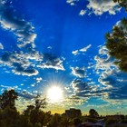 arizonagal7
