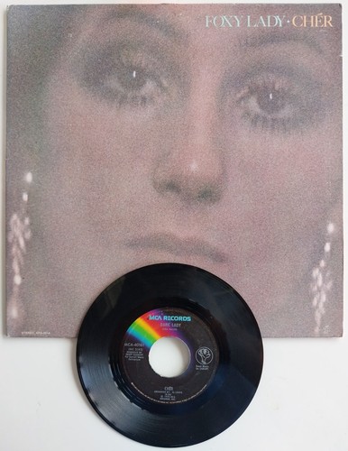 Cher ~ FOXY LADY, DARK LADY ~ 1972 Vinyl Album EX ~ 1973 45 rpm Hit Single EX