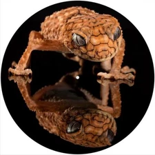 Slipmat Slip Mat Scratch Pad Felt for 12" Turntable LP DJ Record Player GECKO 1