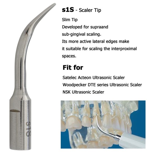 Fits Satelec Acteon Dental Ultrasonic Piezo Scaler Tips H3 10Z 1S Scaling Perio - Picture 45 of 141