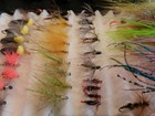 Bild 4 von 10