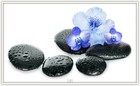 Bild 114 von 239
