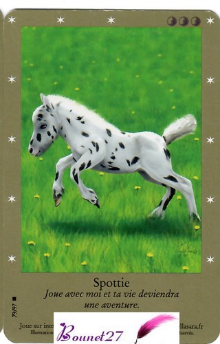 CARTE CARD Cheval Horse " BELLA SARA " EDITION DE BASE N° AUX CHOIX - Imagen 68 de 88