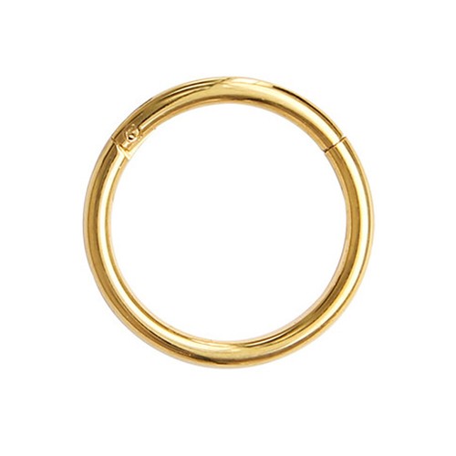 Surgical Steel Nose Ring Clicker Septum Hinge Segment Face Hoop Ear Lip Piercing - Picture 18 of 29