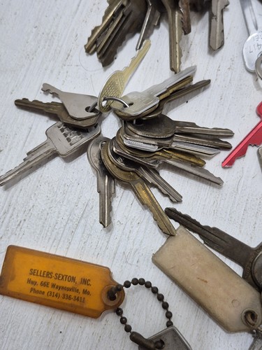 Bulk Lot of 2+ Lbs Vintage Keys w/Keychains House/Automotive Car/Other Unique - Picture 8 of 12