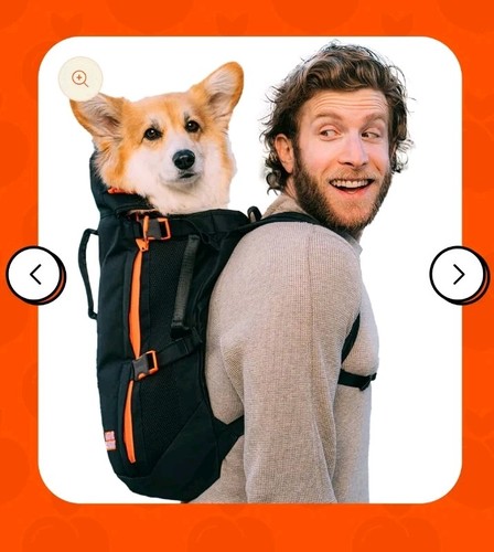 Little Chonk Maxine Hunderucksack schwarz mit orangenem Besatz