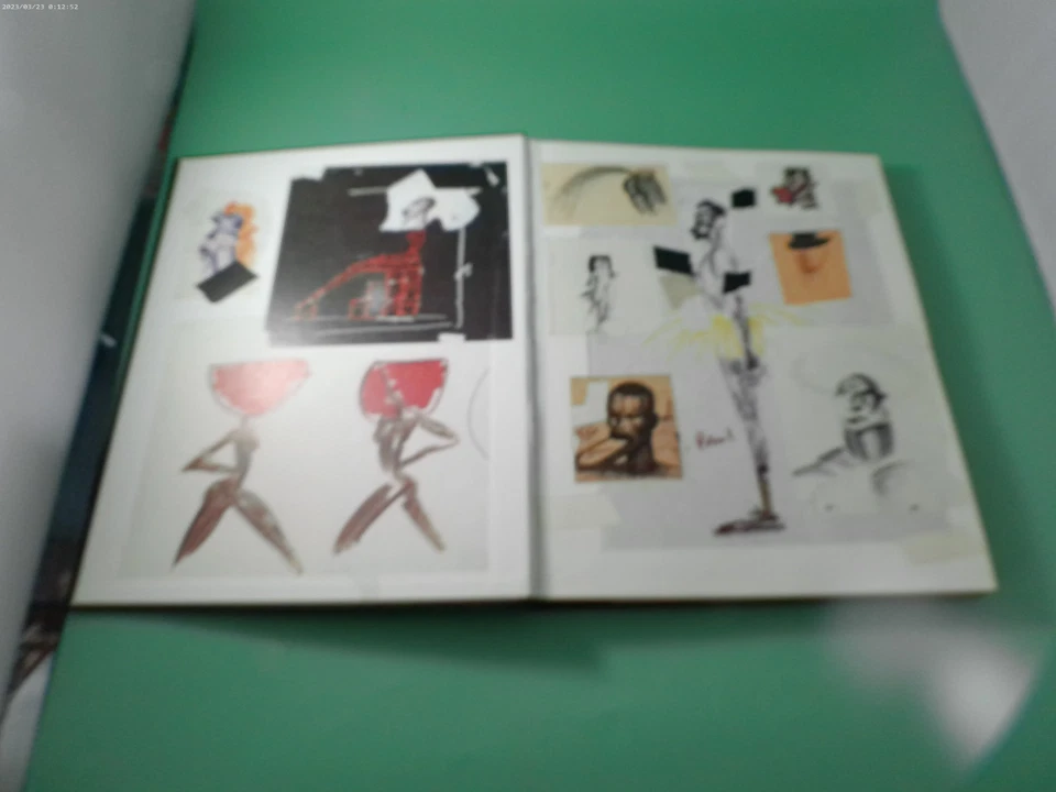Jungle Fever - Jean Paul Goude Grace Jones - Bild 3 von 4