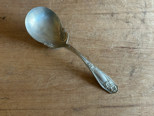 Rogers Nickel Silver Serving Spoon Lily Flower Floral Pattern Design 8-3/4" Vtg - Picture 1 of 24
