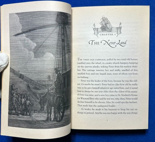 PETER PAN Book Collection, Tink, Wendy, Capt. Hook / Authors Barrie, Hart, Barry - Imagen 12 de 37