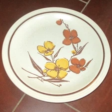 Homer Laughlin HL188 1977 dinner plate