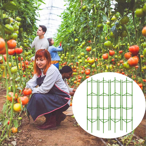 2 Pack Tomato Cage for Garden Plant Support - up to 63Inch Plant Stakes Tomato C - Picture 7 of 7