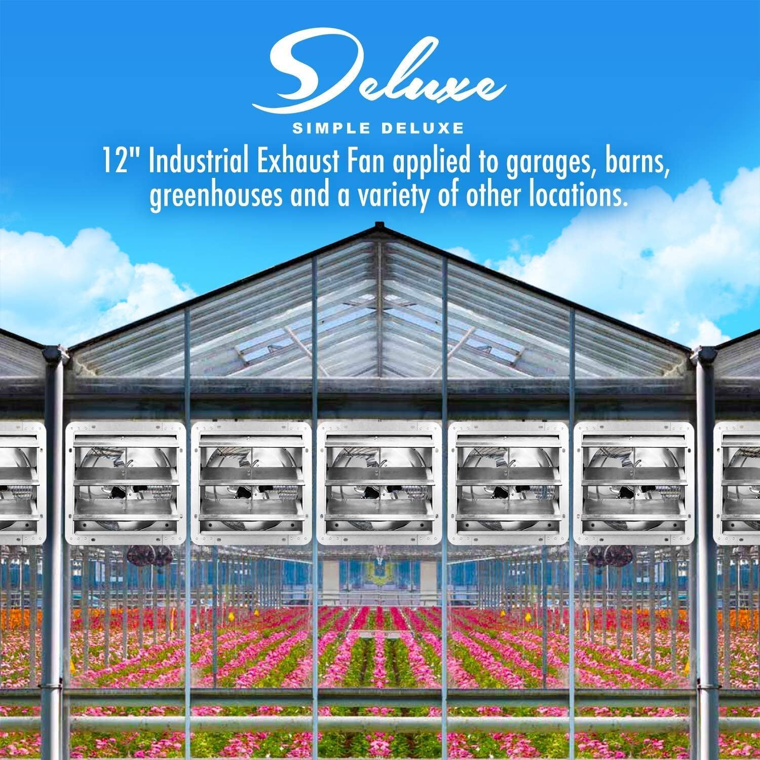 Bild 6 von 26