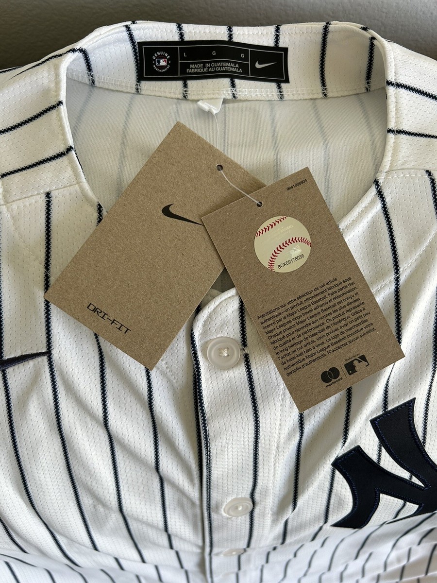 Nike Authentic Pinstripe New York Yankees Anthony Volpe #11