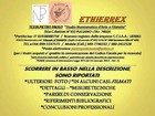 Foto 9 di 9