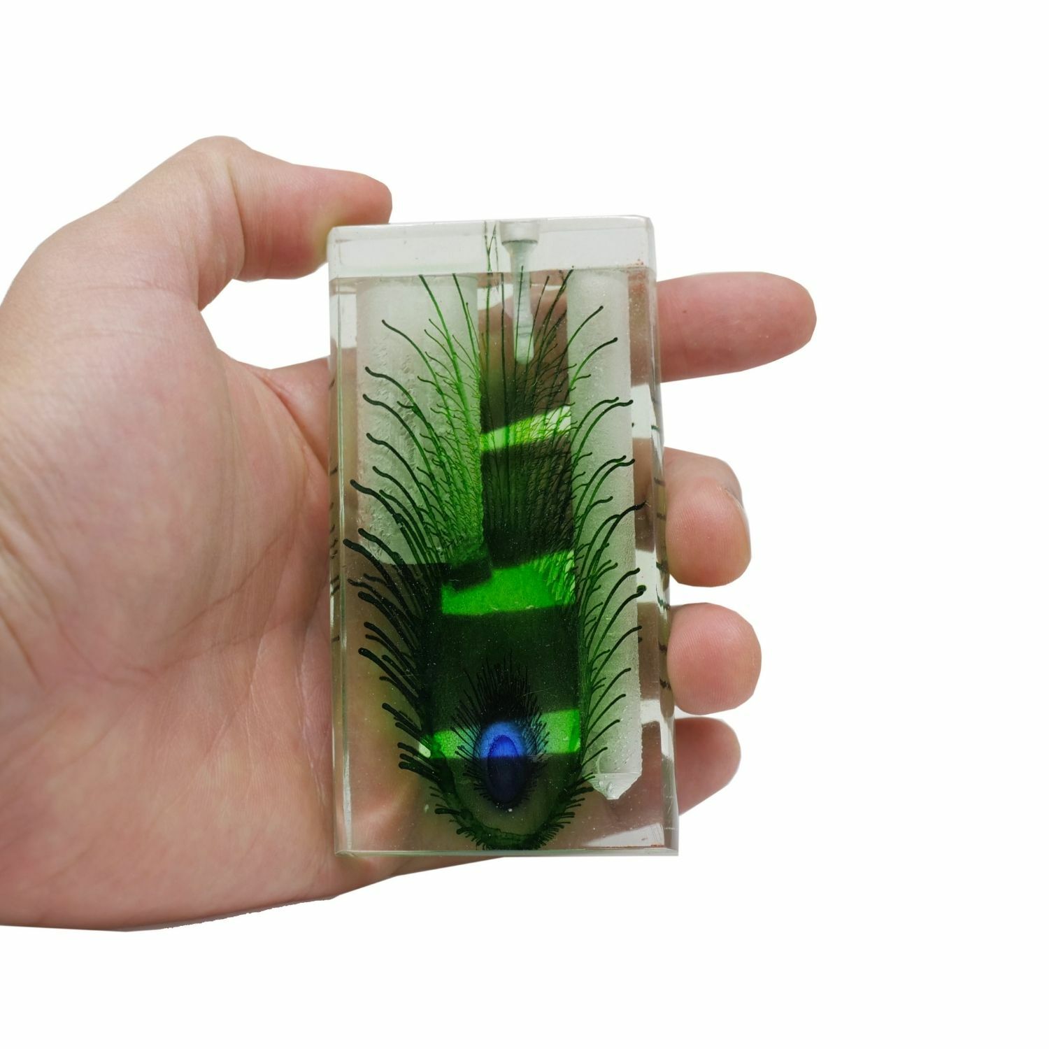 Acrylic Dugout with Hitter and Rod Cleaning Tool - Peacock Feath