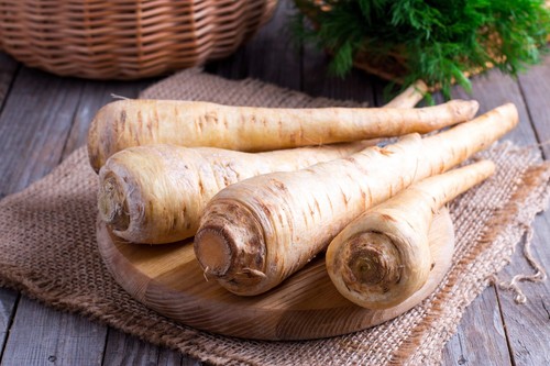 1000 PARSNIP IMPROVED HOLLOW CROWN Pastinaca Sativa Vegetable Seeds *Comb S/H - Picture 7 of 9