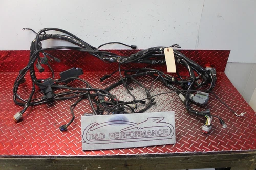 2005 HARLEY ELECTRA GLIDE OEM MAIN WIRING HARNESS NO DAMAGE 2004 - 2005 EG111