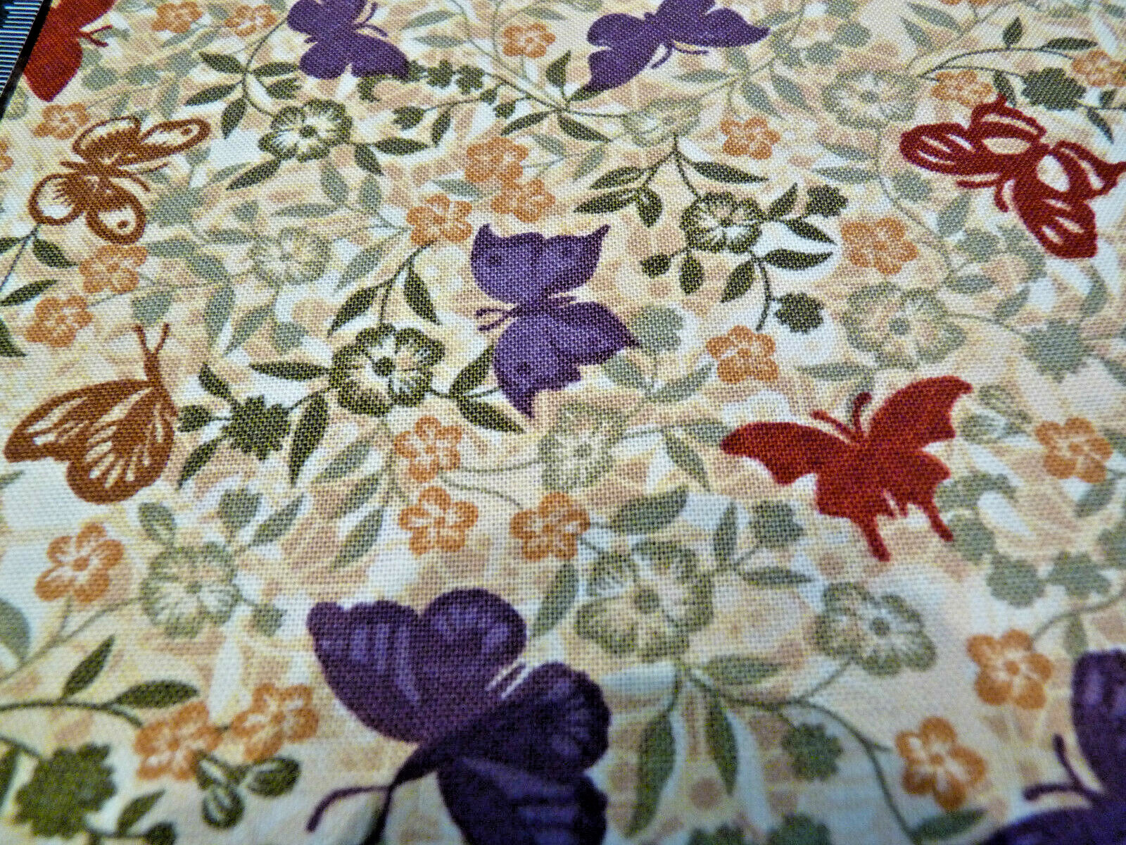 Picture 9 of 10