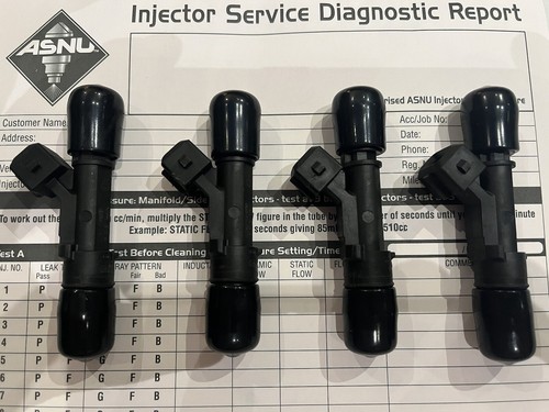 Asnu Machine Petrol Injector Cleaning Service - Picture 11 of 11