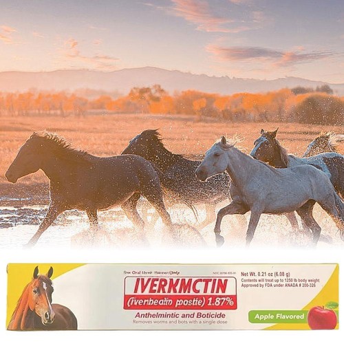 Paste Horse Dewormer - Apple Flavor Exp-12/2026 Anthelmintic & Boticide DES - Bild 3 von 8