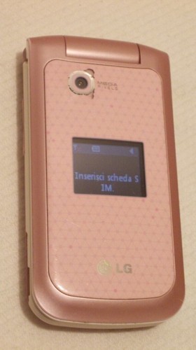 TELEFONO CELLULARE DA COLLEZIONE - LG GB 220 FUNZIONANTE - SCATOLA ORIGINALE - Imagen 4 de 11