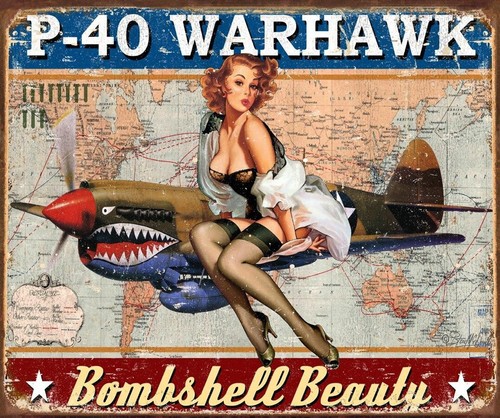 P-40 Warhawk BOMBSHELL BEAUTY Tin Sign wall decor 12.5" x 16" Made in USA - Picture 1 of 2