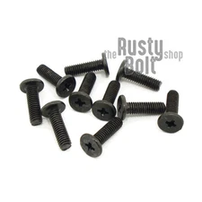 M3 x 10mm, Phillips Wafer Flat Head Screws, Black, Computer, Laptop, Machine