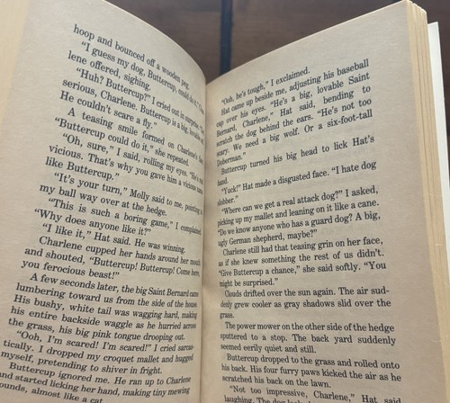 GUC! Apple Goosebumps #15 “You Cant Scare Me!” 1st Scholastic Ed 1994 RL Stine - Bild 3 von 6