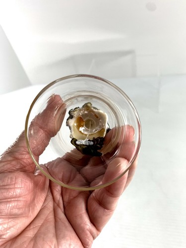 Clear Glass Resin Bird Bell Blue Tit 4.5" Tall Decorative Figurine Decor - Picture 5 of 5