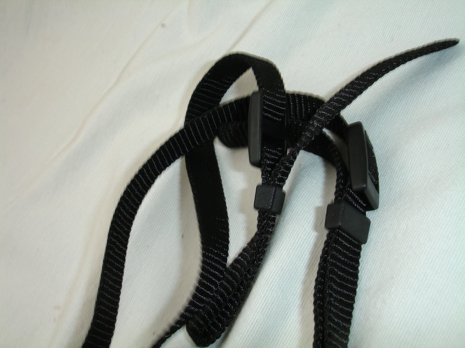 Picture 8 of 8
