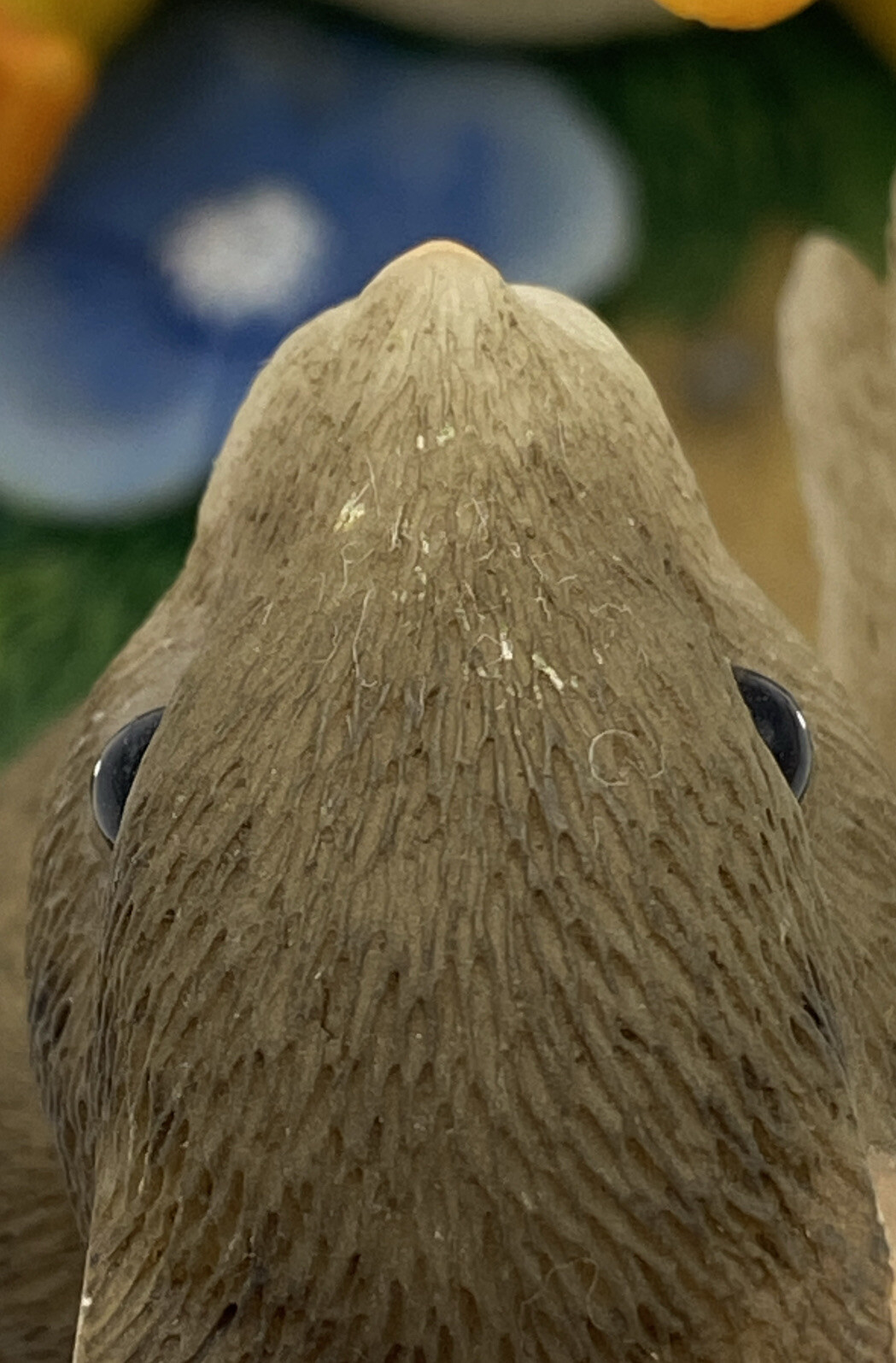 Picture 4 of 15