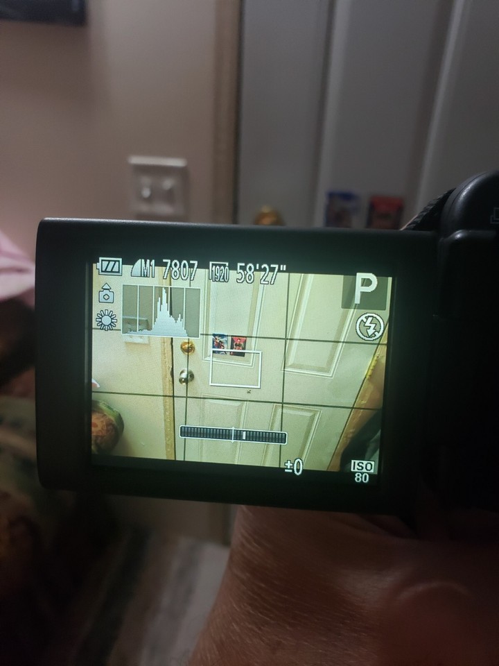 Canon PowerShot SX50 HS 50x Zoom Digital Camera Card Battery + Charger