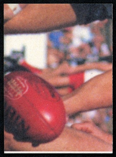 Tarjeta Hawthorn Hawks 1986 VFL AFL Scanlens - Leigh Matthews - Imagen 2 de 3