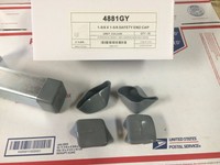 (4881gy) P2860-10 Plastic Grey / Gray End Caps 4 Unistrut 1 5/8 X 1 5/8 50/box (4881gy) P2860-10 Plastic Grey / Gray End Caps 4 Unistrut 1 5/8 X 1 5/8 50/box