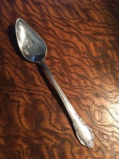 REMEMBRANCE~ Grapefruit Spoon ~ 1847 Rogers Bros ~ Silver Plate ~ Art Nouveau