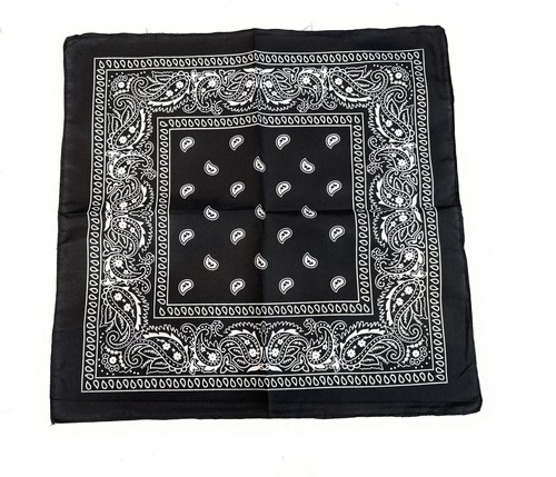 10er Pack Bandanas Paisley Print Cowboy Bandana Taschentücher verschiedene Farben - Bild 3 von 8