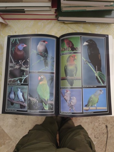 African Birds in Field & Aviary : A Guide to a Mixed Collection, Paperback by... - Picture 7 of 9