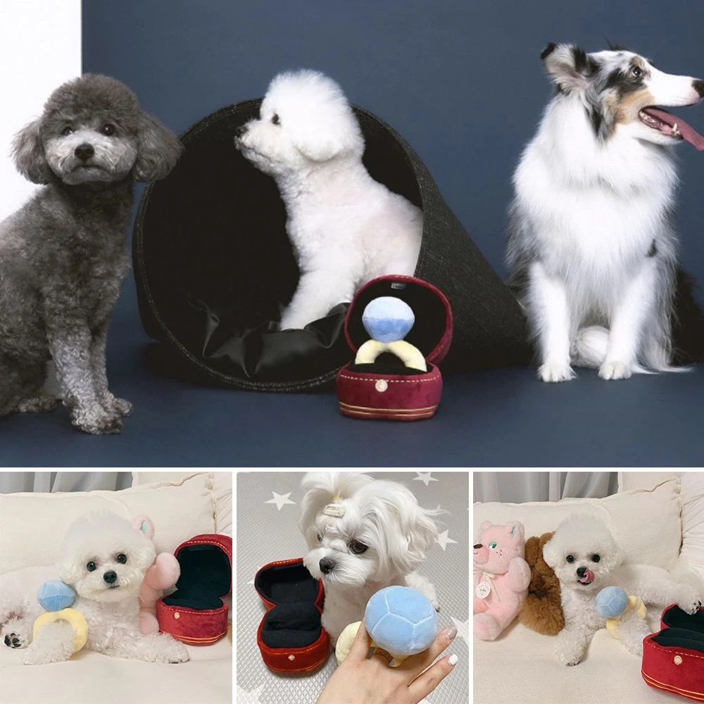 Engagement ring cheap dog toy