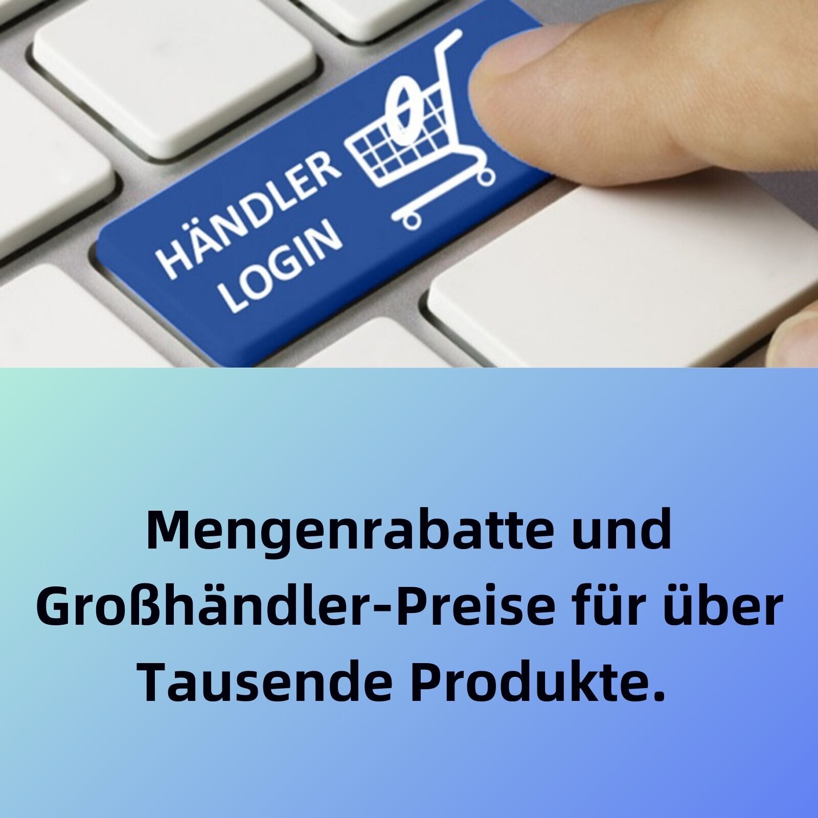 Bild 8 von 9