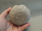 Picture 4 of 8