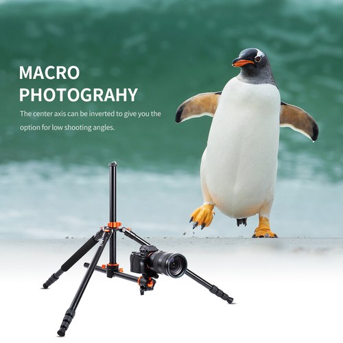 K&F Concept Pro Camera Tripod Aluminium / Carbon Fiber Ball Head for DSLR Travel - Picture 111 of 129