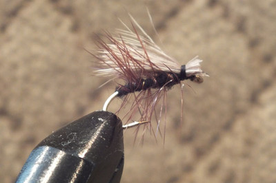 Royal Coachman Trout Fly Size 12-1 Dozen Dry Flies F710 12