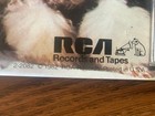 Rick Springfield 1982 Success Hasn’t Spoiled Me Yet Promo Poster  Ronnie — photo 8