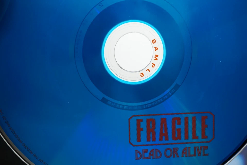 Dead Or Alive : FRAGILE CD Album (JAPAN 2000 Press) - Pete Burns - PROMO RARE - Image 4 of 4