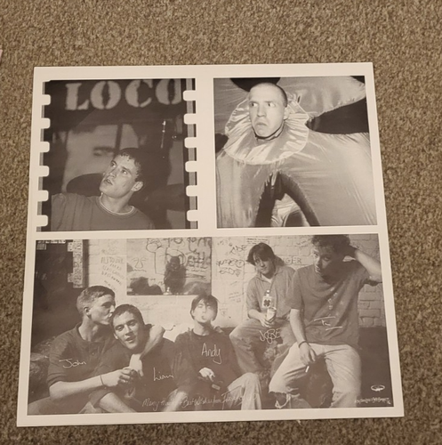 Flowered Up A Life With Brian Ltd LP indie Pop Rock - Picture 7 of 9