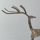 Picture 6 of 14