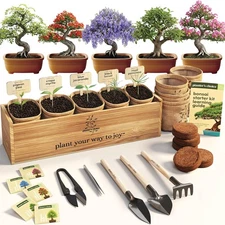 Bonsai Starter Kit Live House Plants DIY Gardening Gift for Adults