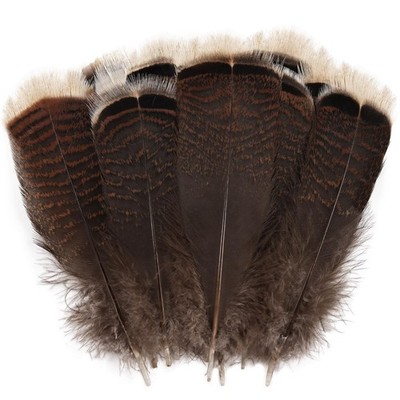 Daieeparty 12pcs Natural Color Wild Turkey 6-8inch, Feathers Tail 