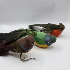 VTG 3 Artificial Birds Green Brown Red Feather Tails Christmas Tree Ornaments