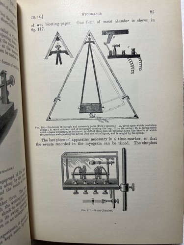 1913 HANDBOOK OF PHYSIOLOGY Halliburton Biology Science Medicine Medical - Imagen 3 de 9